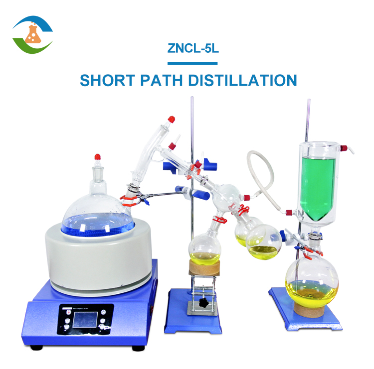 時空　実験室　 ドクターDによる人造人間実験 闇に魅入られた科学者たち 人体実験は何を生んだのか