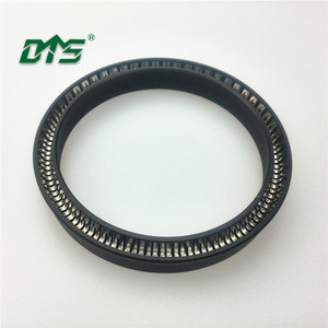 China DMS variseal ptfe energized oil double spring seal