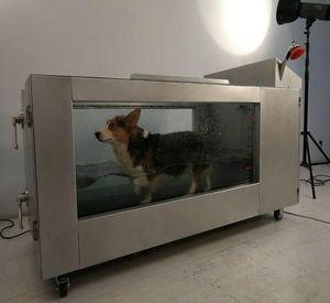 used canine underwater treadmill for sale