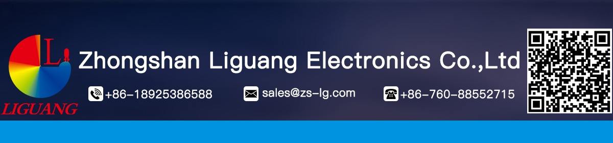 Company Overview Zhongshan Liguang Electronic Co Ltd