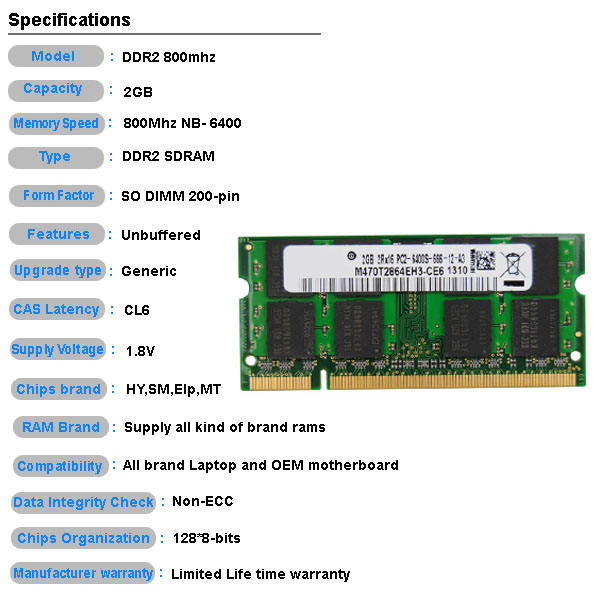 Ddr2 Ram Pin Number 240 Pin Transcend 2gb Ddr2 800 Dimm