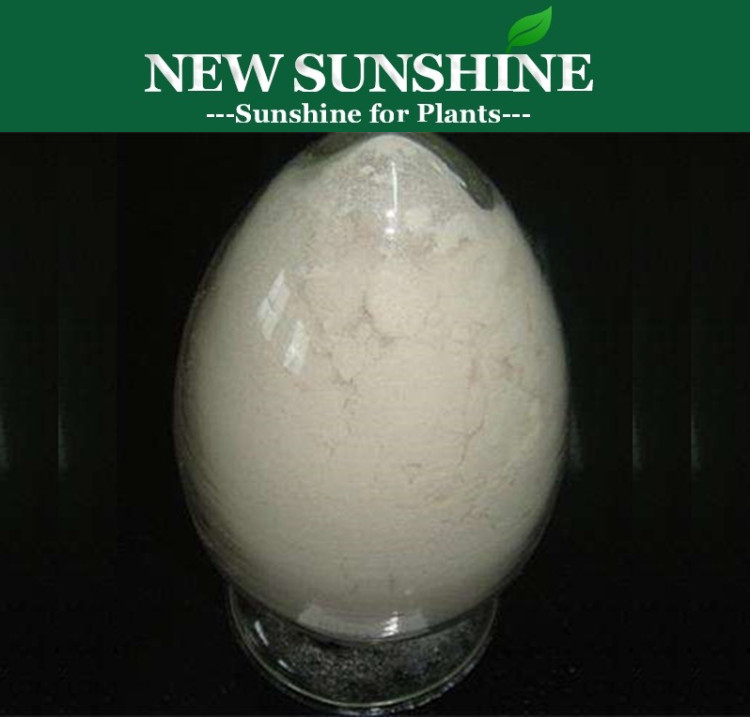 Bio Pesticide Abamectin 95% TC, Insecticide/ Acaricide Manufacturer