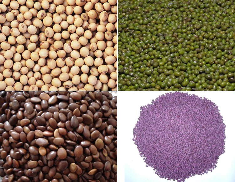 Fully Automatic Rice Animal Pet Food Packaging Machine with Hoister