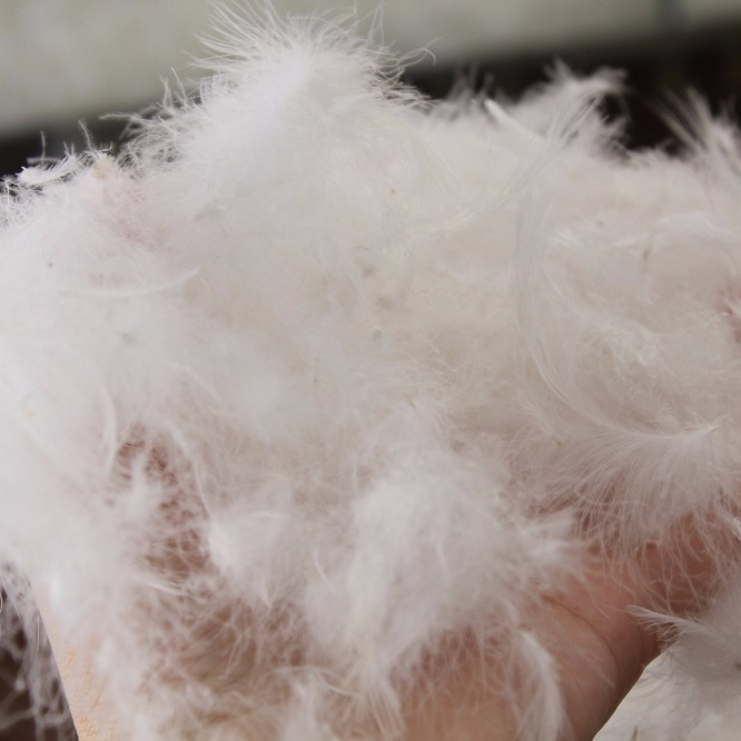 Белый пух что это. Натуральный гусиный пух. Пух перо наполнитель для подушек. Гусиный пух. Пух.