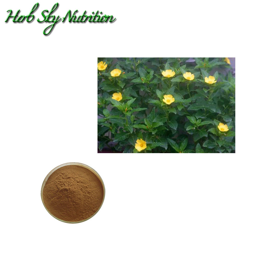 Japaneseプレイヤーの販売 オンラインショッピング ダミアナの種子 Alibaba Comでのjapaneseプレイヤーの販売