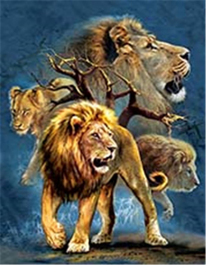 -12x16 Print White Lions 3D Lenticular Poster
