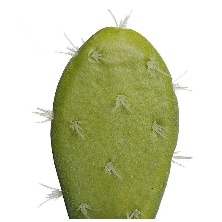 Cactus Nopal Artificiel-76cm