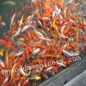 Automatic Fish Feeder Automatic Fish Feeder Suppliers And