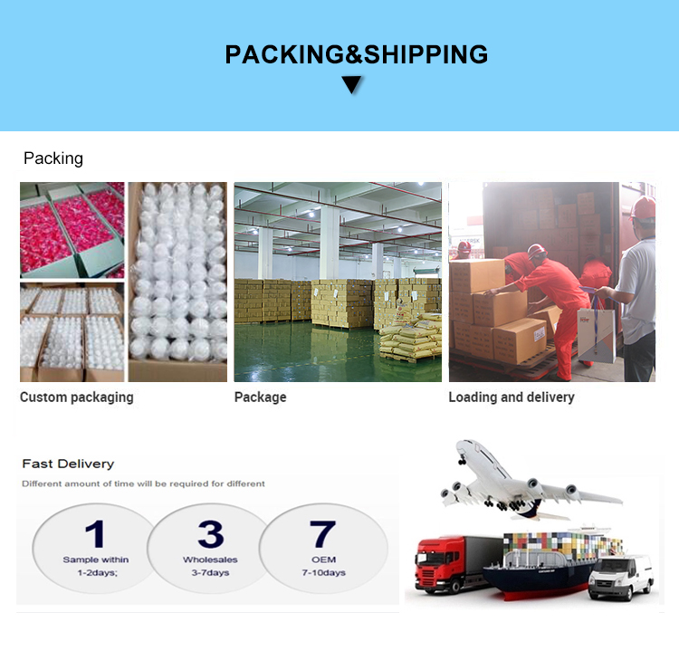 Factory Direct sale Bpa Free Wide Mouth 2.5 liter Plastic Water Bottle Gym Half Gallon Water Bottles