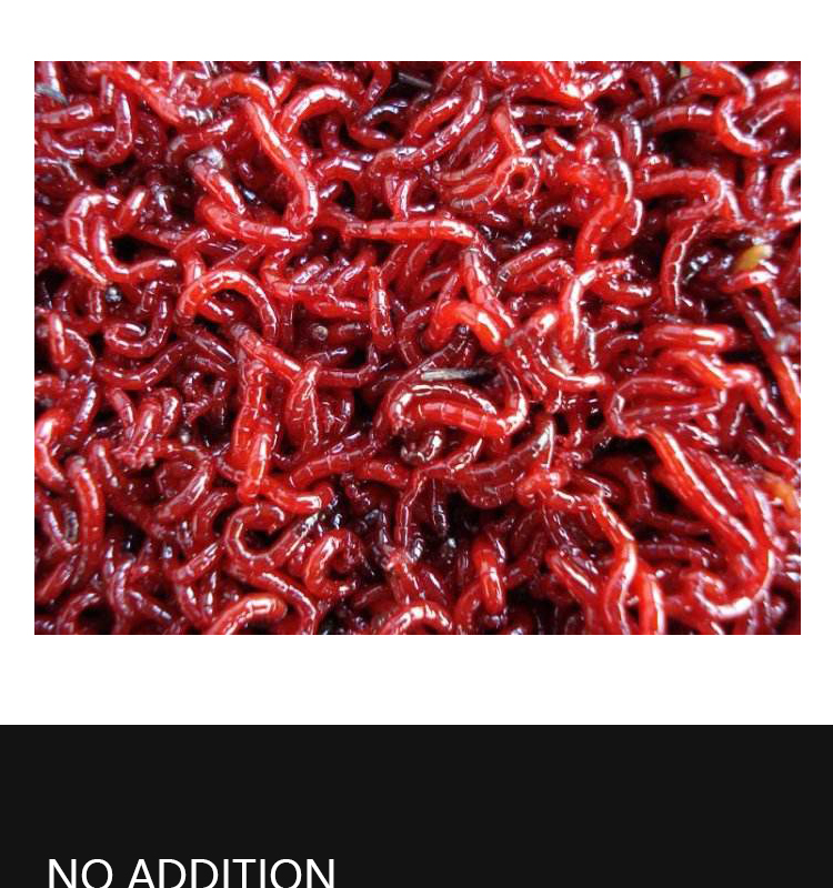 2019优质冷冻血虫冷冻红虫红线虫出售冷冻鱼类食品