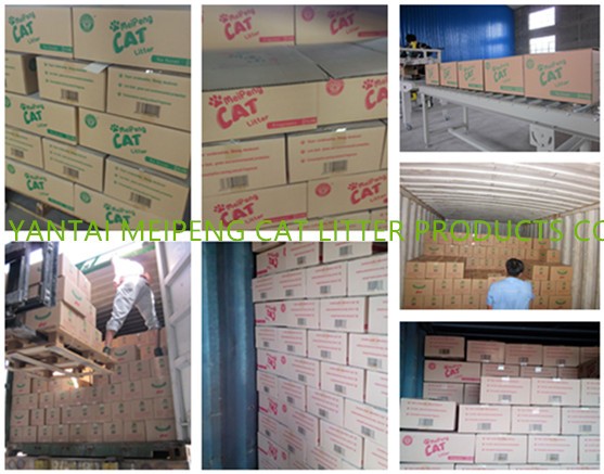 product-713-559 2023 Trending Products Pet Supplies China Cat Cleaning for Cats 100% Natural Sodium Bentonite Fragrance Cat Litter Irregular