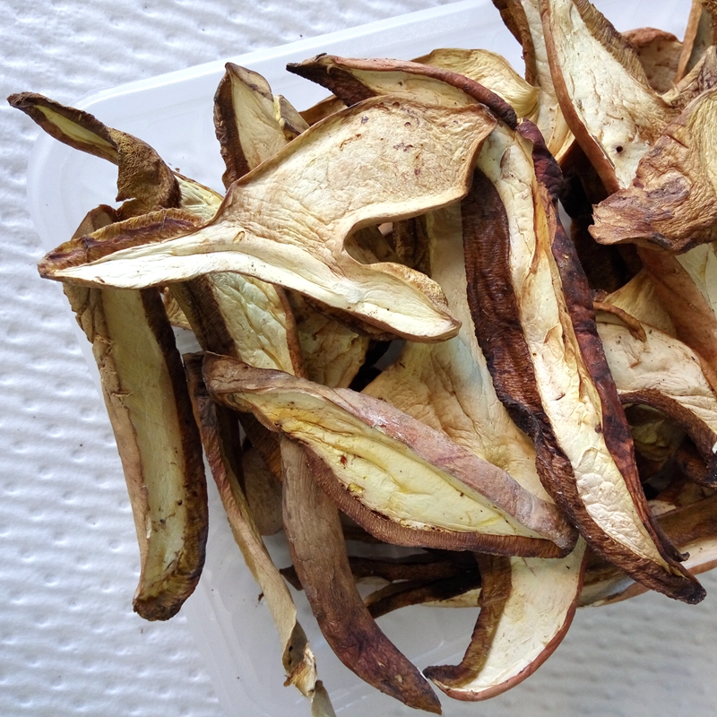 detan 干猪肝菌蘑菇