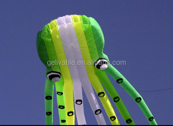 2.5 m cerf-volant à double ligne de kite fabricant