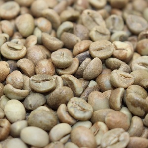 fornitori di estratto di chicco di caffè verde in india