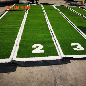 Catálogo de fabricantes de Alfombra De Atletismo Pista Catálogo de fabricantes de Alfombras Atletismo Pista De