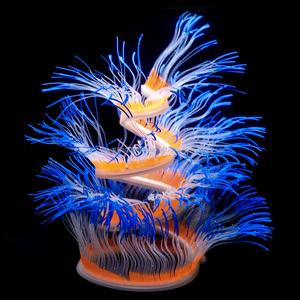 Large Plastic Fish Tanks Large Plastic Fish Tanks Suppliers And