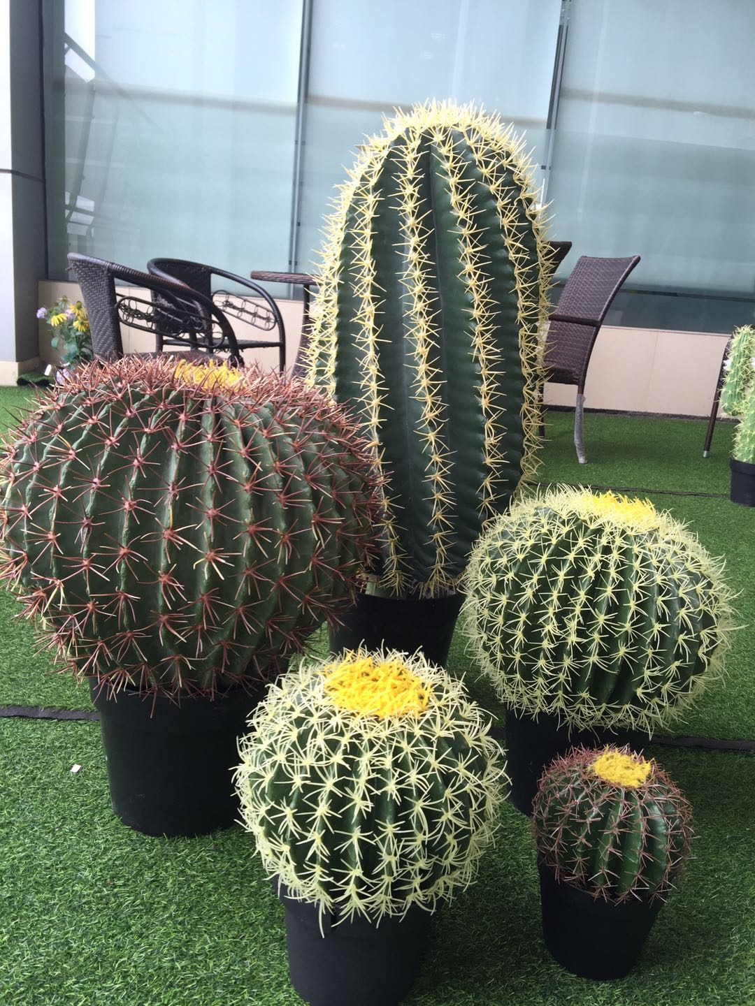 th-19人工人造人造多肉质圆形大型仙人掌植物,用于室内草本花园装饰