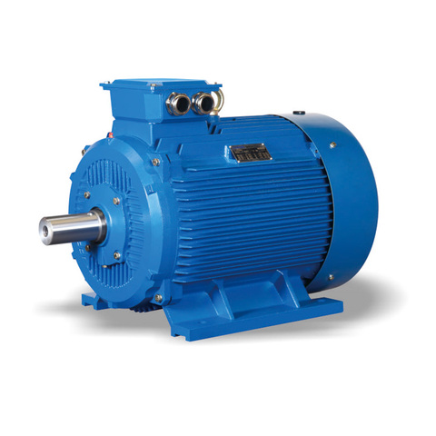 electric motor
