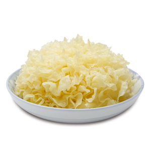 whitefungus