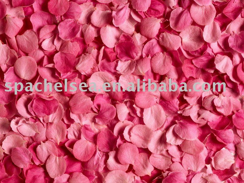 france rose aroma bubble bath oil