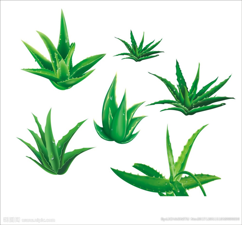 Aleo-эмодин/экстракт алоэ-вера