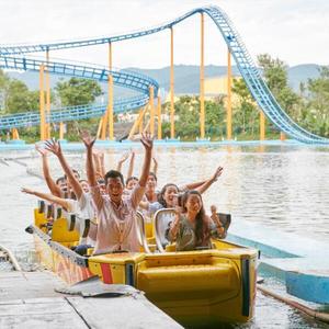 Backyard Roller Coaster For Kids Backyard Roller Coaster For Kids
