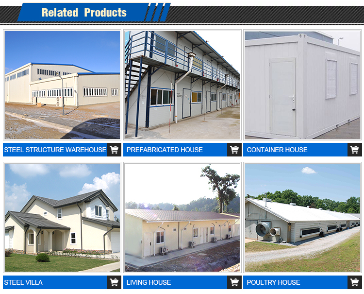Steel Structure Workshop Prefabricated Light Steel Structure Warehouse Building