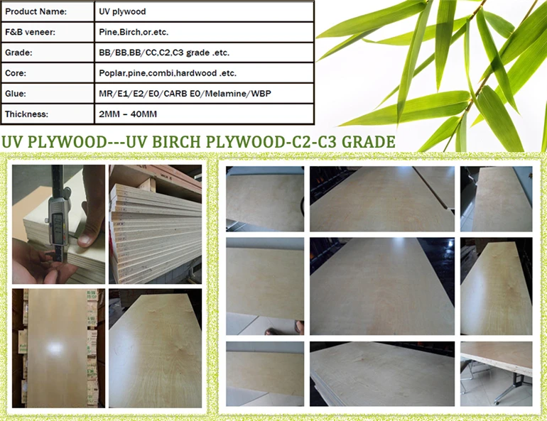 Edlon 3mm 5mm 7mm 9mm 12mm 15mm 18mm commercial birch plywood