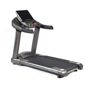 stores that sell treadmills