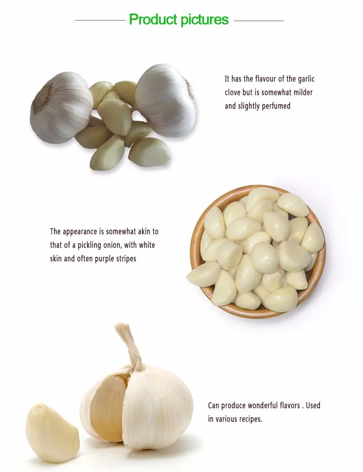 new crop vacuum packed peeled garlic