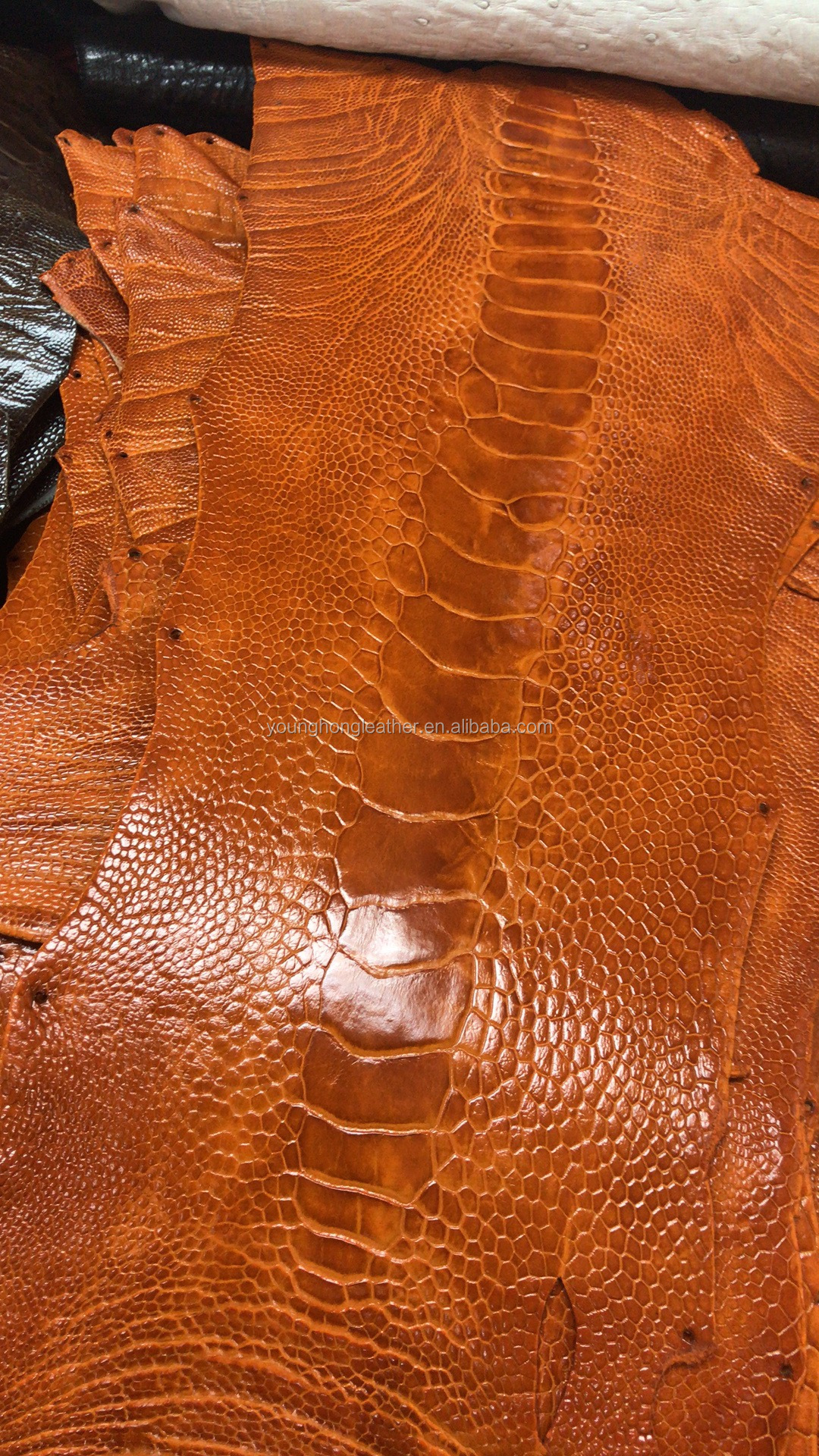 黑色和棕色闪亮的鸵鸟腿皮革为钱包