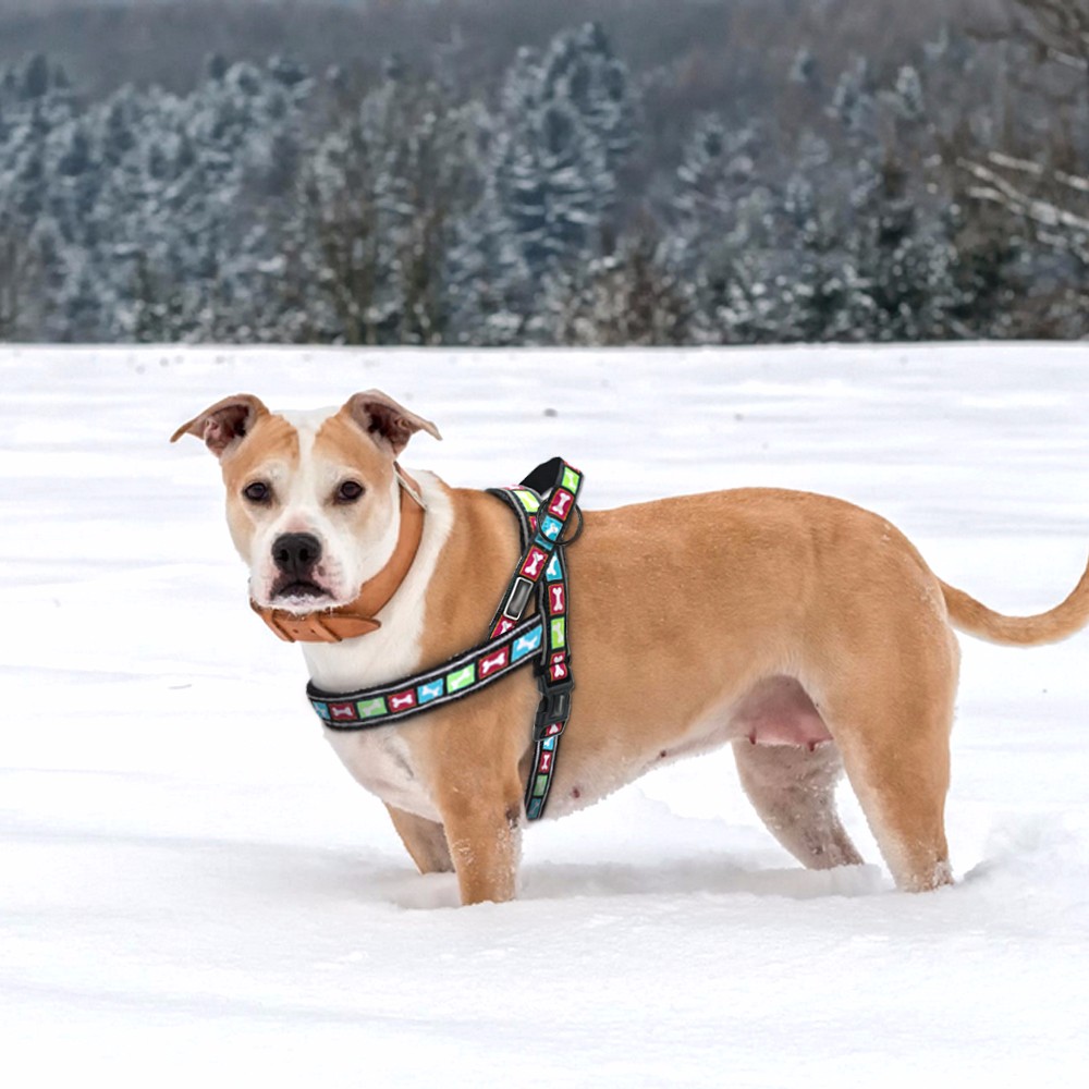 middle -large size luxury vest harness pet accessories dog