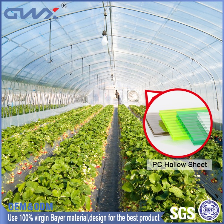 colored easy clean polycarbonate hollow pc double layer sheet for sunroom