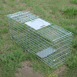 Home Depot Live Animal Trap Cage Home Depot Live Animal Trap Cage