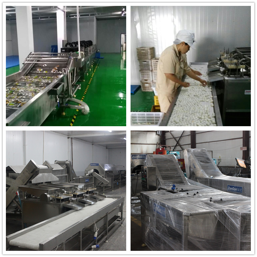 2019 Mới phong cách chim cút trứng peeler máy