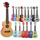 Fashion Style Multiple Color Good Quality Ukulele 21 Inch For Beginners