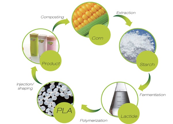 % 可生物降解pla竹纤维可重复使用咖啡杯 - buy pla cup,pla bamboo
