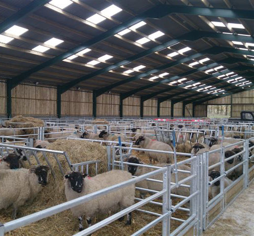 China Sheep Hous China Sheep Hous Manufacturers And Suppliers On