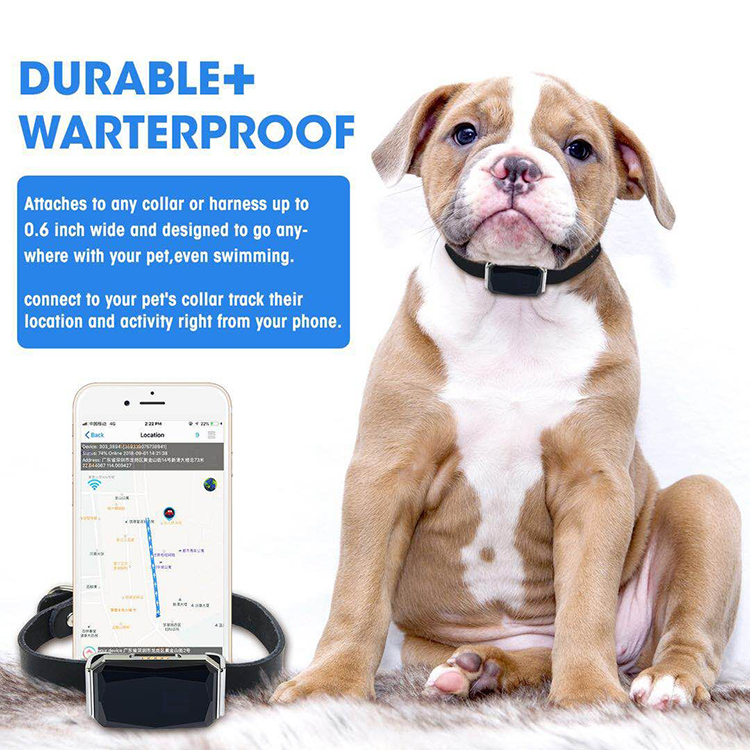 Factory OEM waterproof pet GPS tracker G12P with free leather collar support APP+Web+SMS tracking system for dog/cat