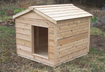 cedar dog box
