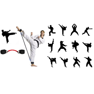 taekwondo training tools