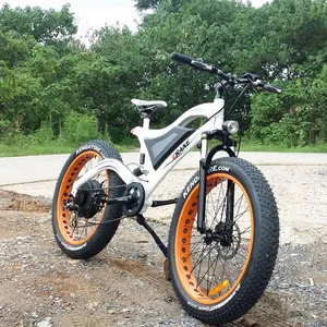 xiongying electric fat bike