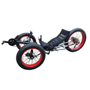 performer trike