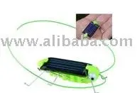 Солнечная Кузнечик