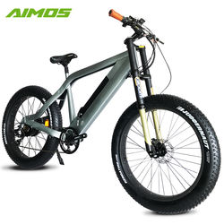 Aluminum Alloy 350W Brushless Motor Wide Tyre 48v Electric Bike