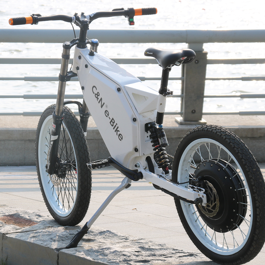 eco bike