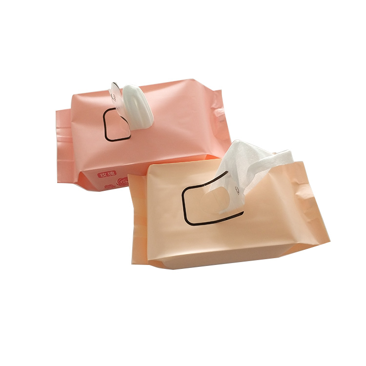 travel wipes container