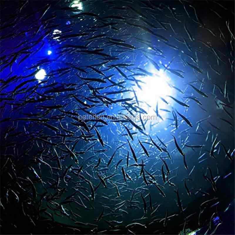 led 鱼灯 500 w 鱼 uring 灯水下吸引聚集鱼灯绿色蓝色白色渔船