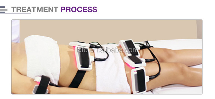 Welight loss 10 pads 650nm Professional Lipo Laser / Lipolaser Slimming Machines for sale LF-313