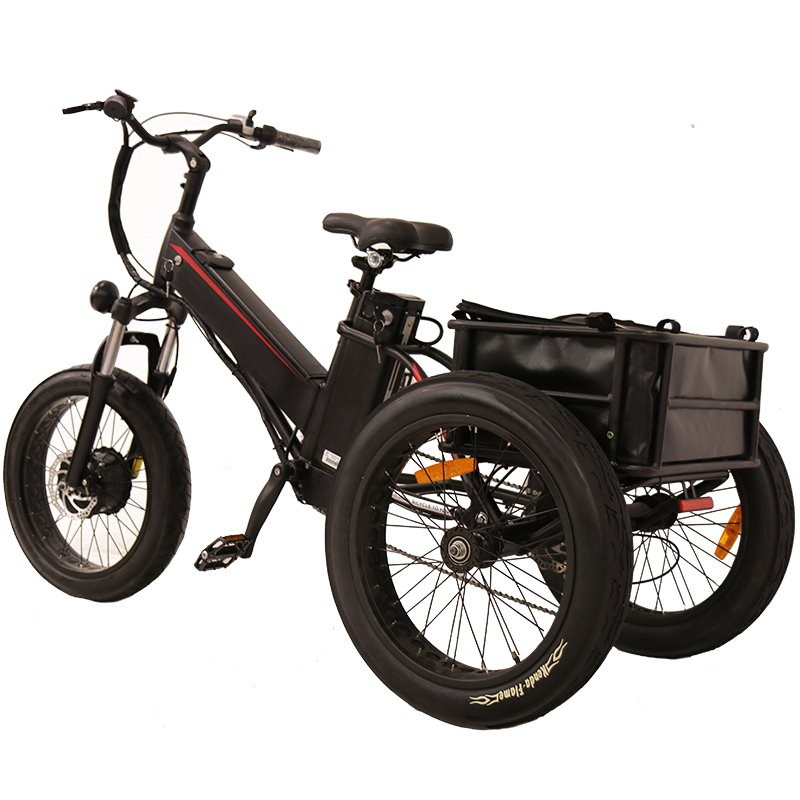bicicletta a tre ruote a motore